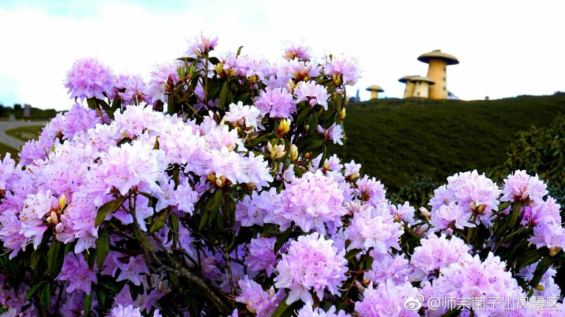 快手双击免费网站众人